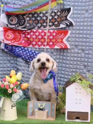 20230527ペカくん